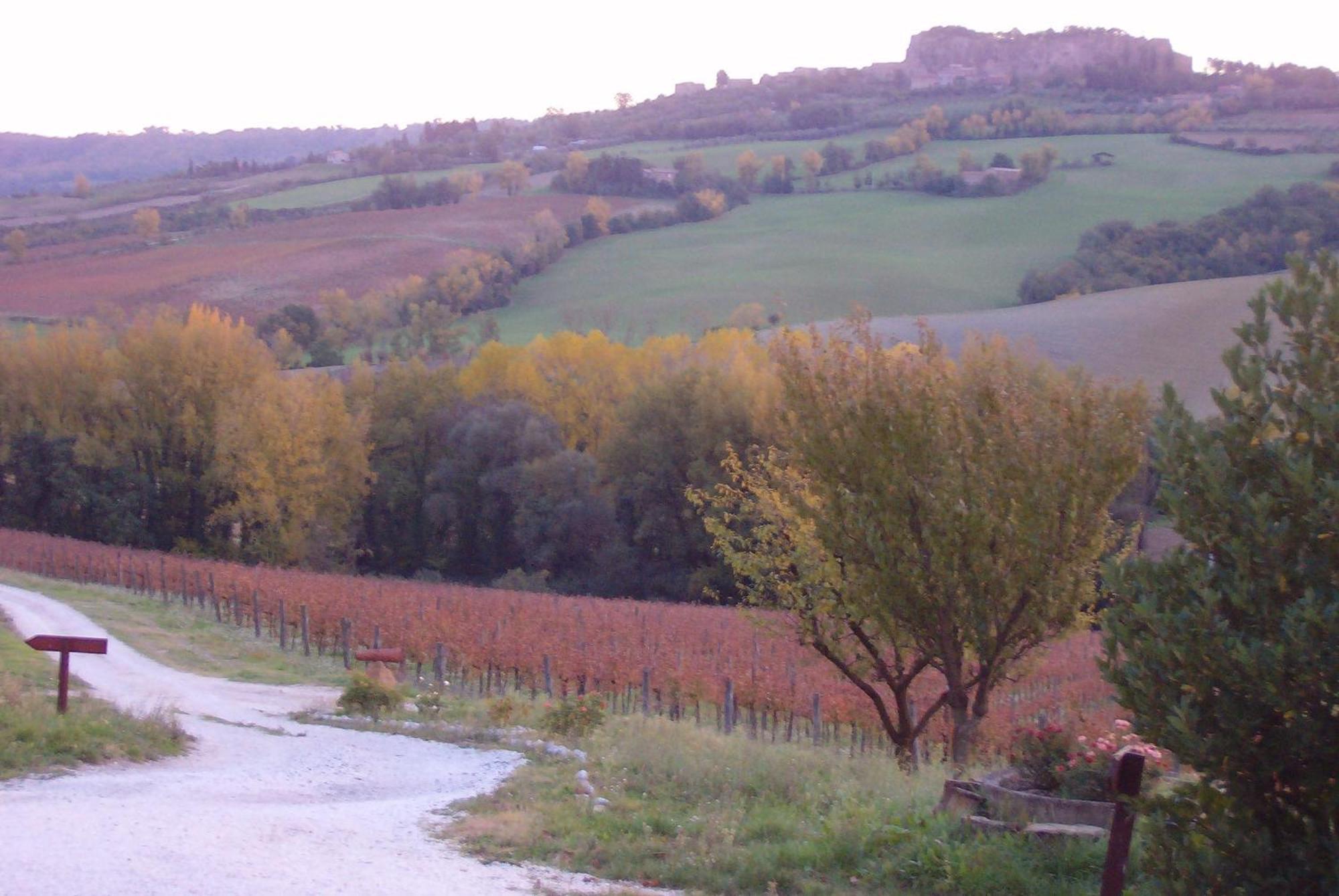 Agriturismo Cioccoleta Орвието Экстерьер фото