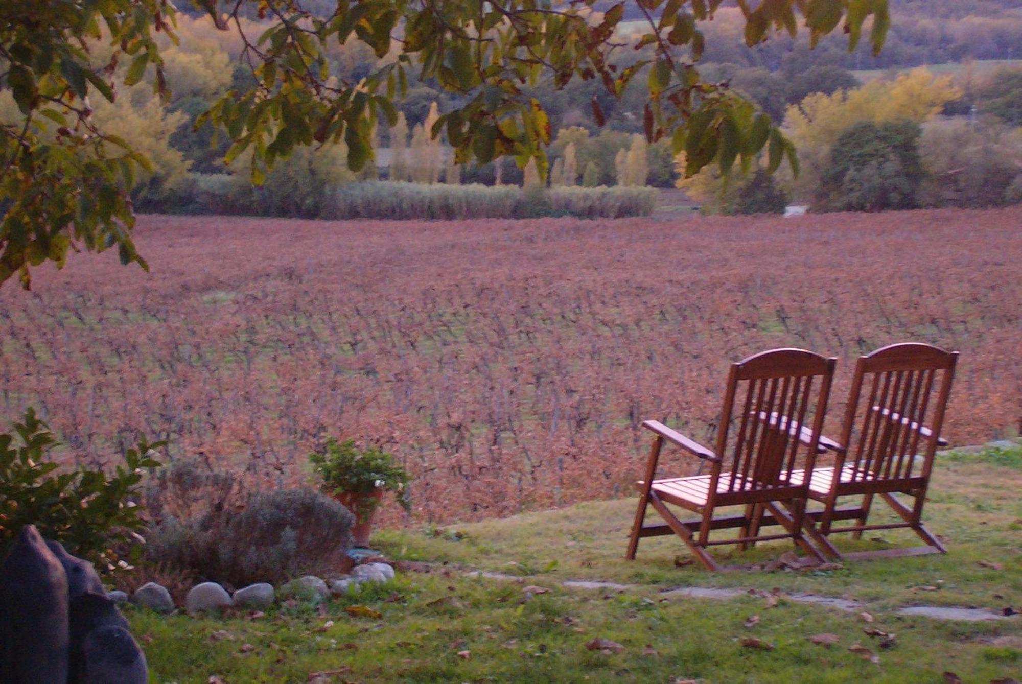 Agriturismo Cioccoleta Орвието Экстерьер фото