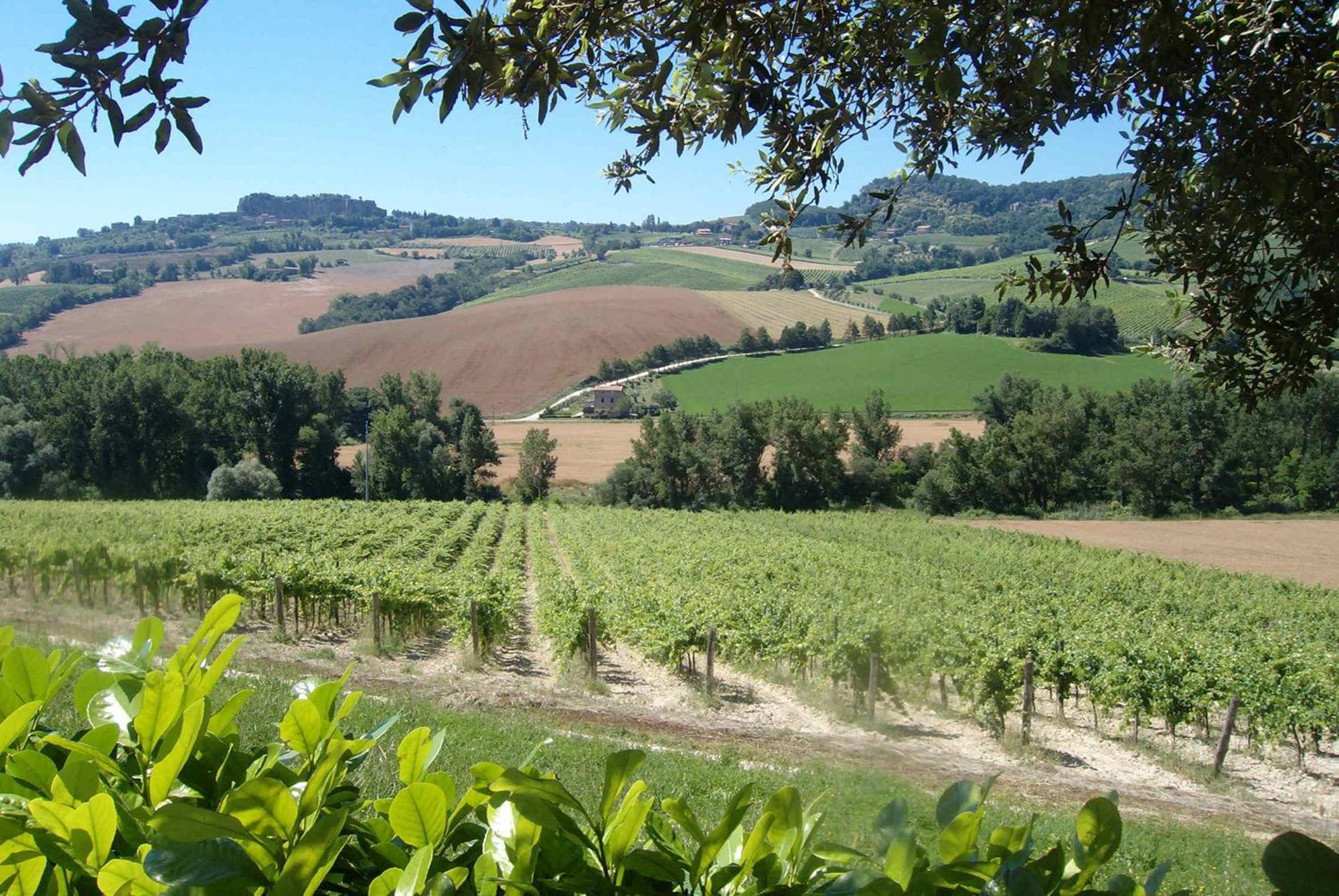 Agriturismo Cioccoleta Орвието Экстерьер фото